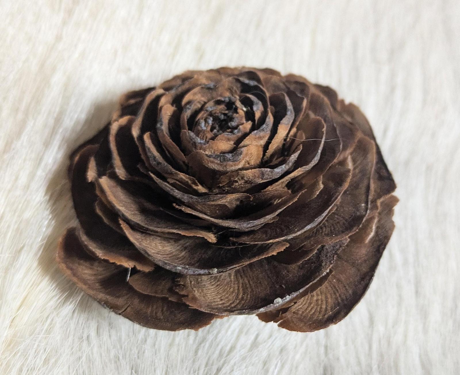 Decorative "Roses" for crafting.  Pinecone crests from Cedar of Lebanon tree.