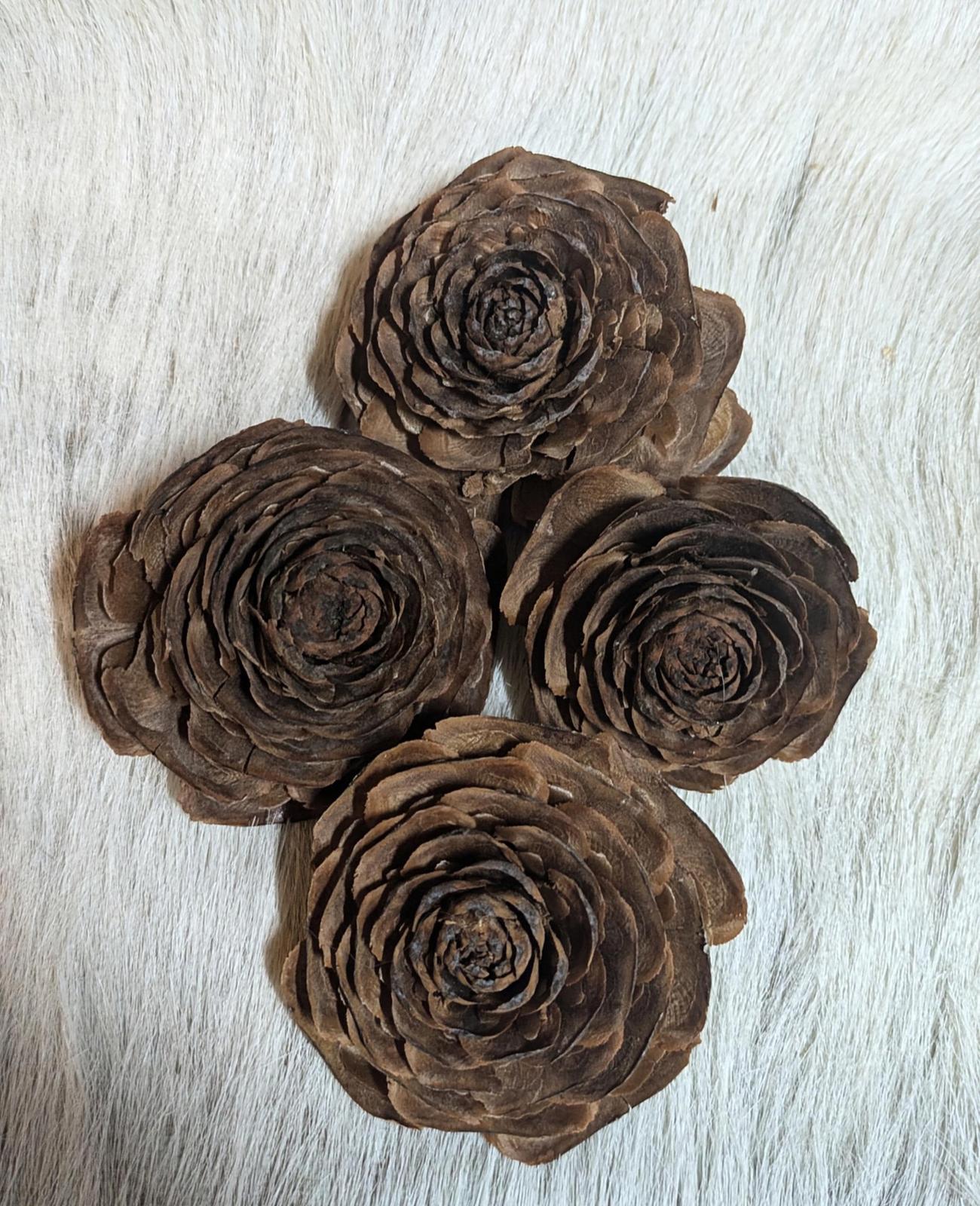 Decorative "Roses" for crafting.  Pinecone crests from Cedar of Lebanon tree.